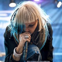 MM Rock for your shock 26